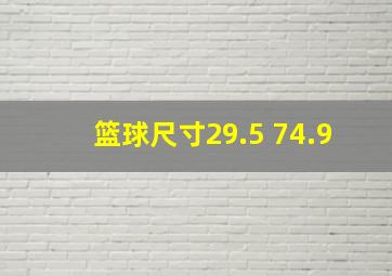 篮球尺寸29.5 74.9